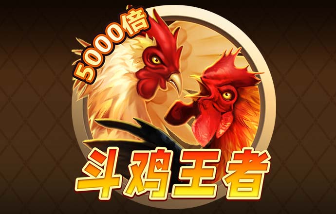 6t平台骗局
